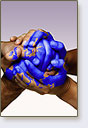 1. Why the European Union?