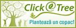 Plantează un copac!